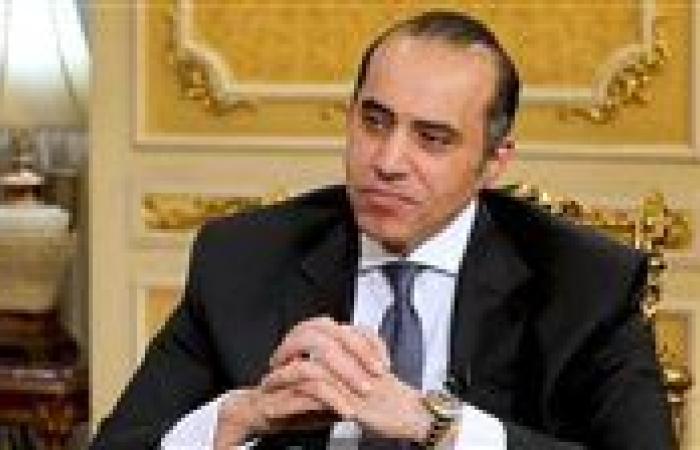 فوزي: التعديلات التشريعية تتطلب اتصالًا مباشرًا بين البرلمان والحكومة