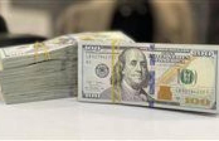 عاجل| 3.9 مليار دولار.. التزامات البنك المركزي المستحقة حتى نهاية 2025