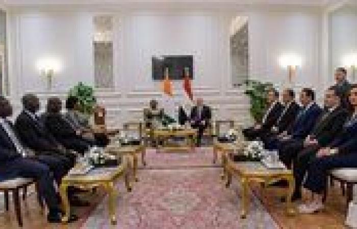 رئيس النواب: قواسم مشتركة مرتكزة على تاريخ راسخ من العلاقات التي تربط مصر وكوت ديفوار