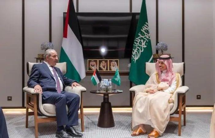 وزير الخارجية السعودي يبحث مع نائب الرئيس الفلسطيني تطورات الأوضاع في فلسطين