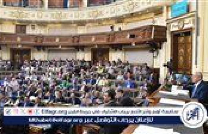 3 قرارات جمهورية بشأن اتفاقيات دولية هامة على طاولة مجلس النواب الأسبوع المُقبل